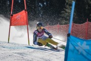 FIS Baltijas kauss Pozza di Fassa, FIS Latvijas čempionāts GS, Foto: E.Lukšo