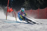 FIS Baltijas kauss Pozza di Fassa, FIS Latvijas čempionāts GS, Foto: E.Lukšo