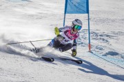 FIS Baltijas kauss Pozza di Fassa, FIS Latvijas čempionāts GS, Foto: E.Lukšo