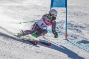 FIS Baltijas kauss Pozza di Fassa, FIS Latvijas čempionāts GS, Foto: E.Lukšo