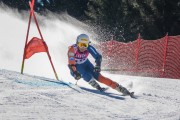 FIS Baltijas kauss Pozza di Fassa, FIS Latvijas čempionāts GS, Foto: E.Lukšo