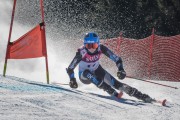 FIS Baltijas kauss Pozza di Fassa, FIS Latvijas čempionāts GS, Foto: E.Lukšo