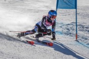 FIS Baltijas kauss Pozza di Fassa, FIS Latvijas čempionāts GS, Foto: E.Lukšo