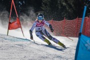 FIS Baltijas kauss Pozza di Fassa, FIS Latvijas čempionāts GS, Foto: E.Lukšo