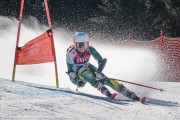 FIS Baltijas kauss Pozza di Fassa, FIS Latvijas čempionāts GS, Foto: E.Lukšo