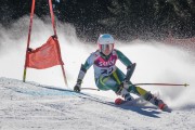 FIS Baltijas kauss Pozza di Fassa, FIS Latvijas čempionāts GS, Foto: E.Lukšo