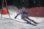 FIS Baltijas kauss Pozza di Fassa, FIS Latvijas čempionāts GS, Foto: E.Lukšo