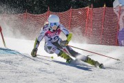 FIS Baltijas kauss Pozza di Fassa, FIS Latvijas čempionāts GS, Foto: E.Lukšo