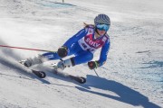 FIS Baltijas kauss Pozza di Fassa, FIS Latvijas čempionāts GS, Foto: E.Lukšo