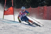 FIS Baltijas kauss Pozza di Fassa, FIS Latvijas čempionāts GS, Foto: E.Lukšo