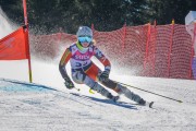 FIS Baltijas kauss Pozza di Fassa, FIS Latvijas čempionāts GS, Foto: E.Lukšo