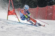 FIS Baltijas kauss Pozza di Fassa, FIS Latvijas čempionāts GS, Foto: E.Lukšo