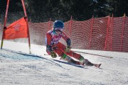 FIS Baltijas kauss Pozza di Fassa, FIS Latvijas čempionāts GS, Foto: E.Lukšo