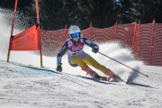 FIS Baltijas kauss Pozza di Fassa, FIS Latvijas čempionāts GS, Foto: E.Lukšo