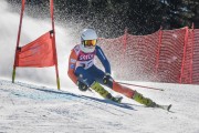 FIS Baltijas kauss Pozza di Fassa, FIS Latvijas čempionāts GS, Foto: E.Lukšo