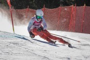 FIS Baltijas kauss Pozza di Fassa, FIS Latvijas čempionāts GS, Foto: E.Lukšo