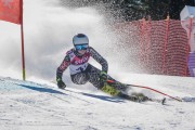 FIS Baltijas kauss Pozza di Fassa, FIS Latvijas čempionāts GS, Foto: E.Lukšo