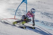 FIS Baltijas kauss Pozza di Fassa, FIS Latvijas čempionāts GS, Foto: E.Lukšo