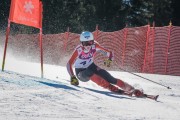 FIS Baltijas kauss Pozza di Fassa, FIS Latvijas čempionāts GS, Foto: E.Lukšo