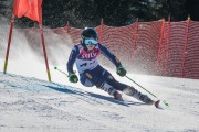 FIS Baltijas kauss Pozza di Fassa, FIS Latvijas čempionāts GS, Foto: E.Lukšo