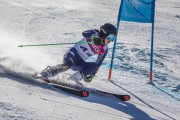 FIS Baltijas kauss Pozza di Fassa, FIS Latvijas čempionāts GS, Foto: E.Lukšo