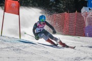 FIS Baltijas kauss Pozza di Fassa, FIS Latvijas čempionāts GS, Foto: E.Lukšo