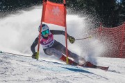 FIS Baltijas kauss Pozza di Fassa, FIS Latvijas čempionāts GS, Foto: E.Lukšo