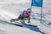 FIS Baltijas kauss Pozza di Fassa, FIS Latvijas čempionāts GS, Foto: E.Lukšo