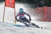 FIS Baltijas kauss Pozza di Fassa, FIS Latvijas čempionāts GS, Foto: E.Lukšo