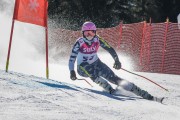 FIS Baltijas kauss Pozza di Fassa, FIS Latvijas čempionāts GS, Foto: E.Lukšo