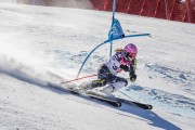 FIS Baltijas kauss Pozza di Fassa, FIS Latvijas čempionāts GS, Foto: E.Lukšo