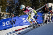 FIS Baltijas kauss Pozza di Fassa, FIS Latvijas čempionāts GS, Foto: E.Lukšo