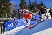 FIS Baltijas kauss Pozza di Fassa, FIS Latvijas čempionāts GS, Foto: E.Lukšo