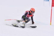 FIS Baltic Cup 2018 3. posms, jauniešu un meistaru SG, Foto: Emīls Lukšo