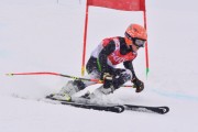 FIS Baltic Cup 2018 3. posms, jauniešu un meistaru SG, Foto: Emīls Lukšo