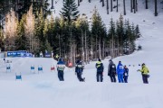 FIS Baltijas kauss Pozza di Fassa, FIS Lietuvas čempionāts GS, Foto: E.Lukšo