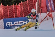 FIS Baltijas kauss Pozza di Fassa, FIS Lietuvas čempionāts GS, Foto: E.Lukšo