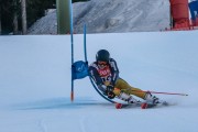 FIS Baltijas kauss Pozza di Fassa, FIS Lietuvas čempionāts GS, Foto: E.Lukšo