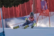 FIS Baltijas kauss Pozza di Fassa, FIS Lietuvas čempionāts GS, Foto: E.Lukšo