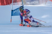 FIS Baltijas kauss Pozza di Fassa, FIS Lietuvas čempionāts GS, Foto: E.Lukšo