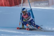 FIS Baltijas kauss Pozza di Fassa, FIS Lietuvas čempionāts GS, Foto: E.Lukšo