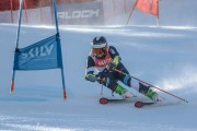 FIS Baltijas kauss Pozza di Fassa, FIS Lietuvas čempionāts GS, Foto: E.Lukšo