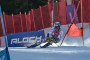 FIS Baltijas kauss Pozza di Fassa, FIS Lietuvas čempionāts GS, Foto: E.Lukšo