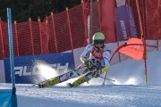 FIS Baltijas kauss Pozza di Fassa, FIS Lietuvas čempionāts GS, Foto: E.Lukšo