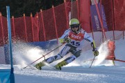 FIS Baltijas kauss Pozza di Fassa, FIS Lietuvas čempionāts GS, Foto: E.Lukšo