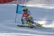 FIS Baltijas kauss Pozza di Fassa, FIS Lietuvas čempionāts GS, Foto: E.Lukšo