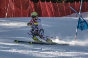 FIS Baltijas kauss Pozza di Fassa, FIS Lietuvas čempionāts GS, Foto: E.Lukšo