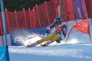 FIS Baltijas kauss Pozza di Fassa, FIS Lietuvas čempionāts GS, Foto: E.Lukšo