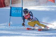 FIS Baltijas kauss Pozza di Fassa, FIS Lietuvas čempionāts GS, Foto: E.Lukšo