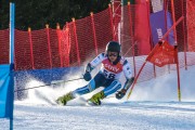 FIS Baltijas kauss Pozza di Fassa, FIS Lietuvas čempionāts GS, Foto: E.Lukšo